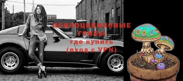 герыч Тутаев